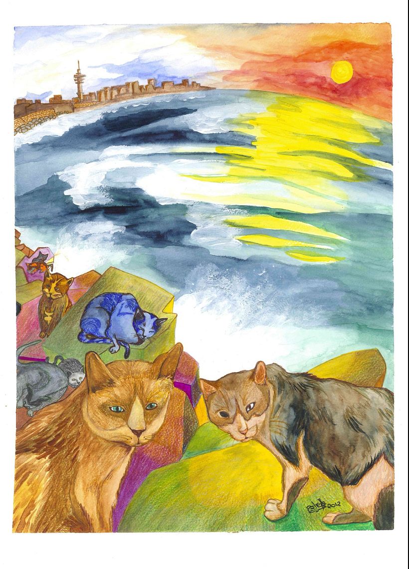 Donación de ilustraciones  4