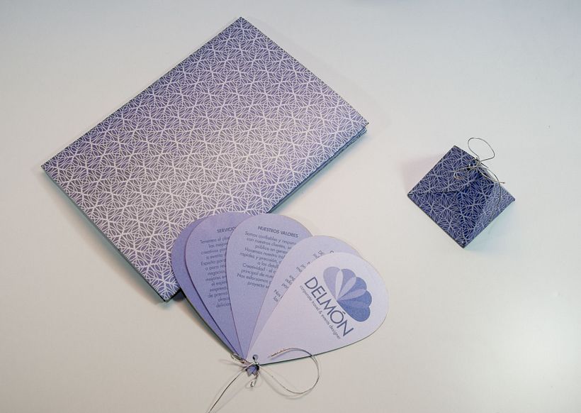 Delmón, corporate style 4