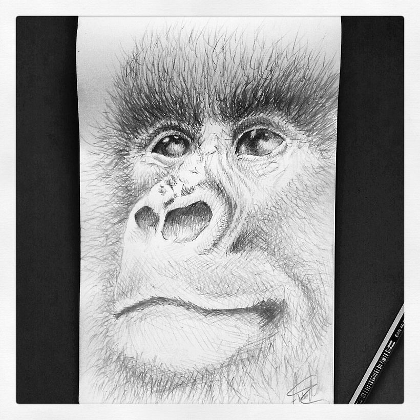 Todos mis trabajos 34