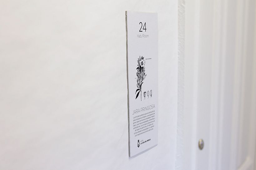 La casa del médico 6