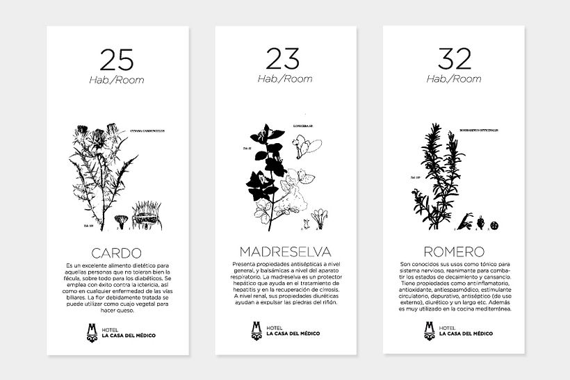 La casa del médico 7