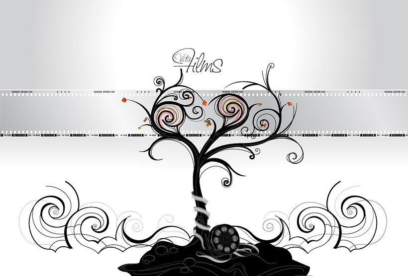 WEB Vida Films 1