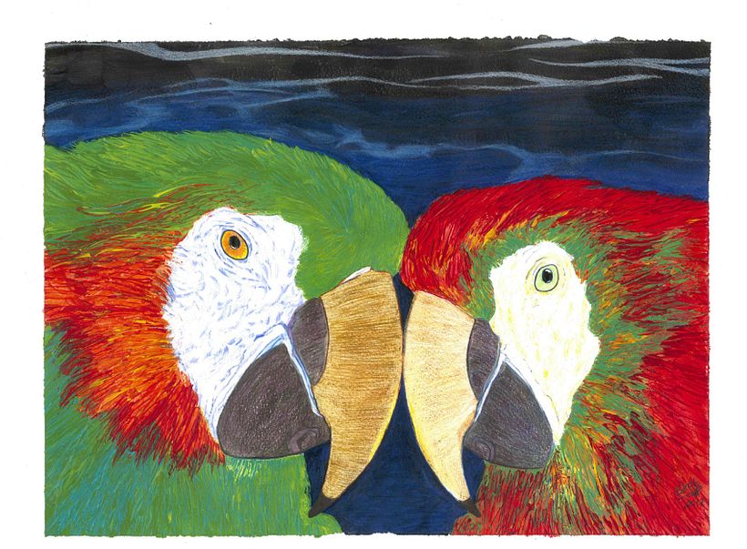 Donación de ilustraciones  3