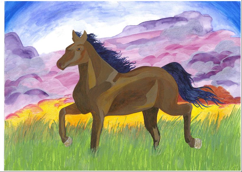 Donación de ilustraciones  5