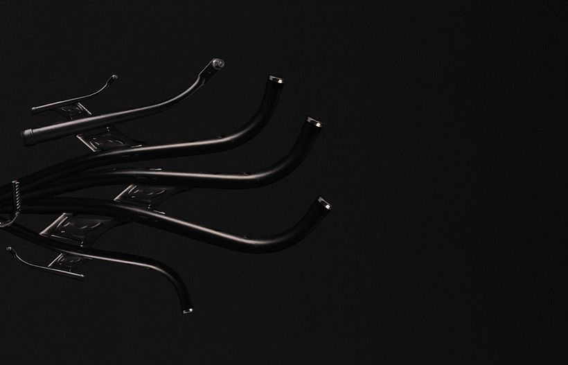 Standbikeme | Irish Elk 5