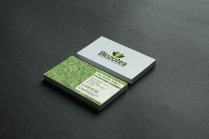 Biozotea 2