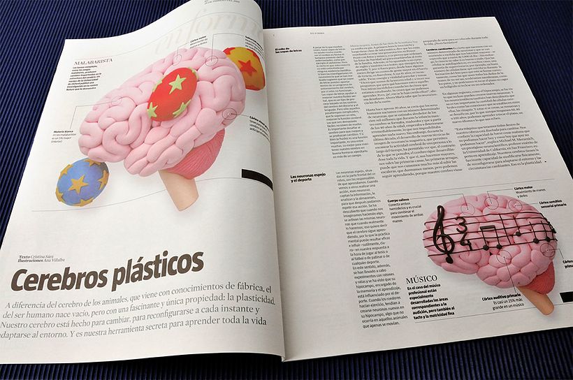 Cerebro plástico 5