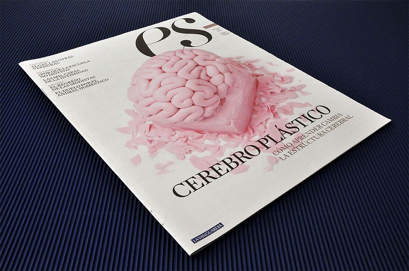 Cerebro plástico 1