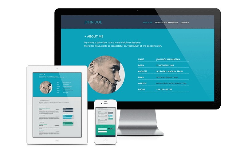 Resume Flat Web Design 2