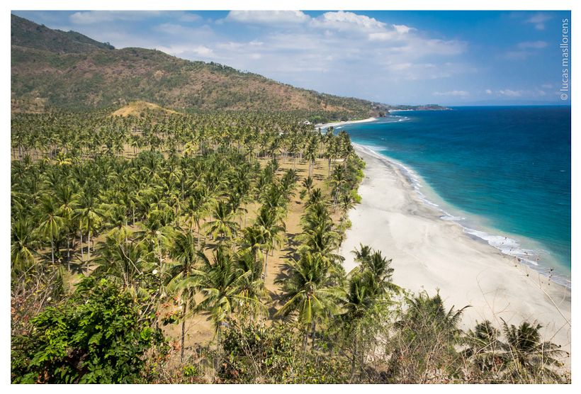 Stock - Indonesioa 7