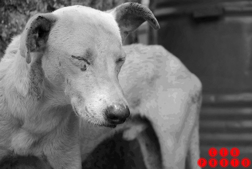 Lo que te regala Puerto Cabello!  8