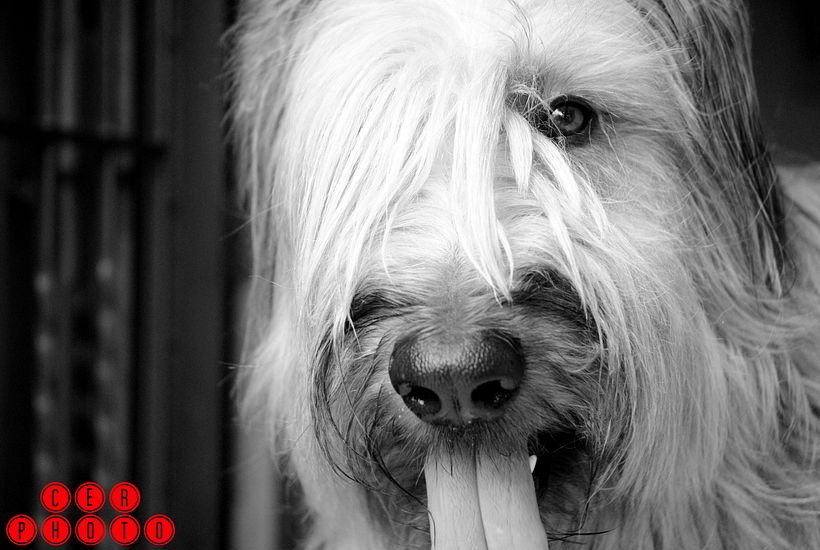 Lo que te regala Puerto Cabello!  5