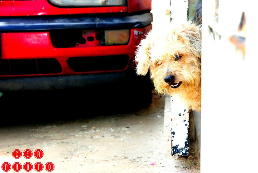 Lo que te regala Puerto Cabello!  2