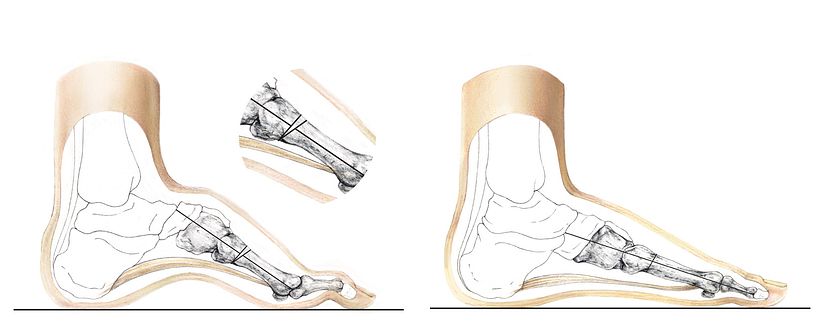 Individuus_Illustration 3