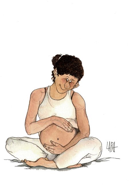 Libro ilustrado.  17