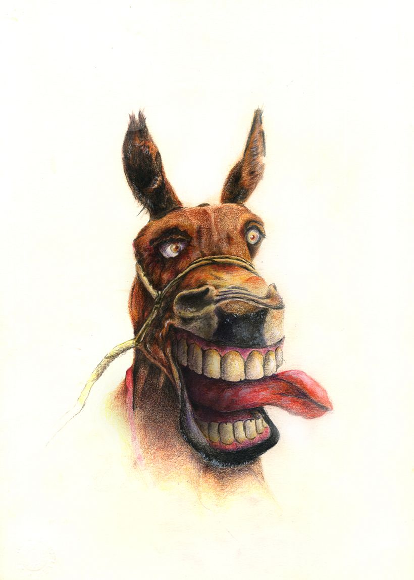 ilustracion tradicional 6
