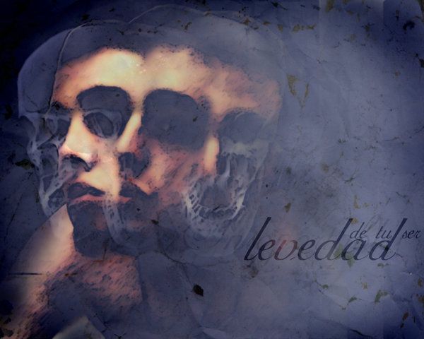 Diseño 5