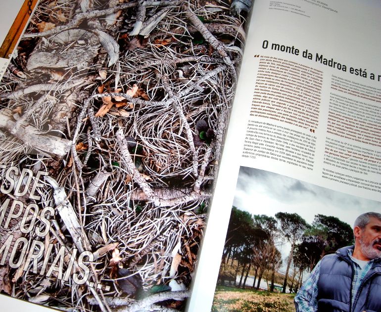 Revista Tintimám 02 - Design