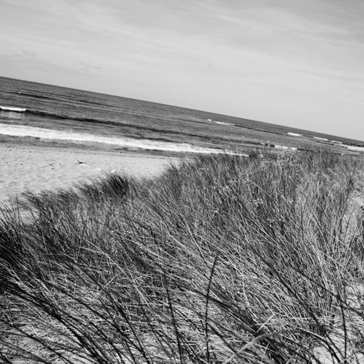 SOMEWHERE 12