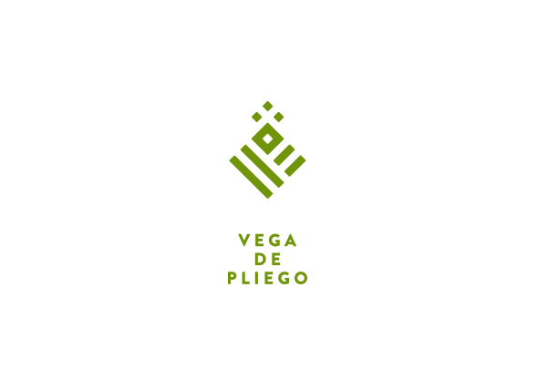 Vega de Pliego 3