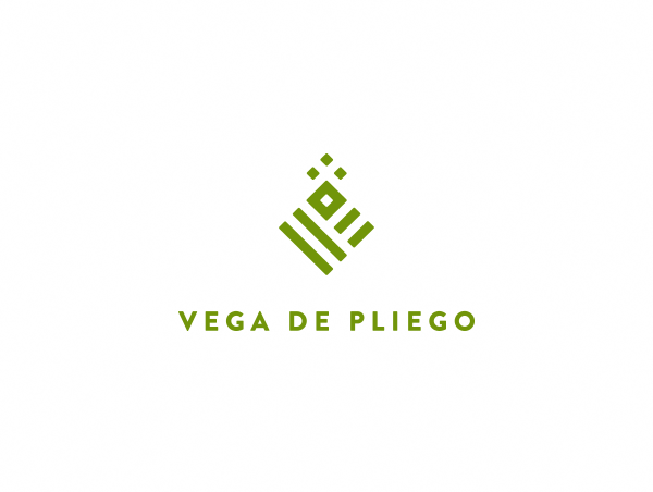 Vega de Pliego 2