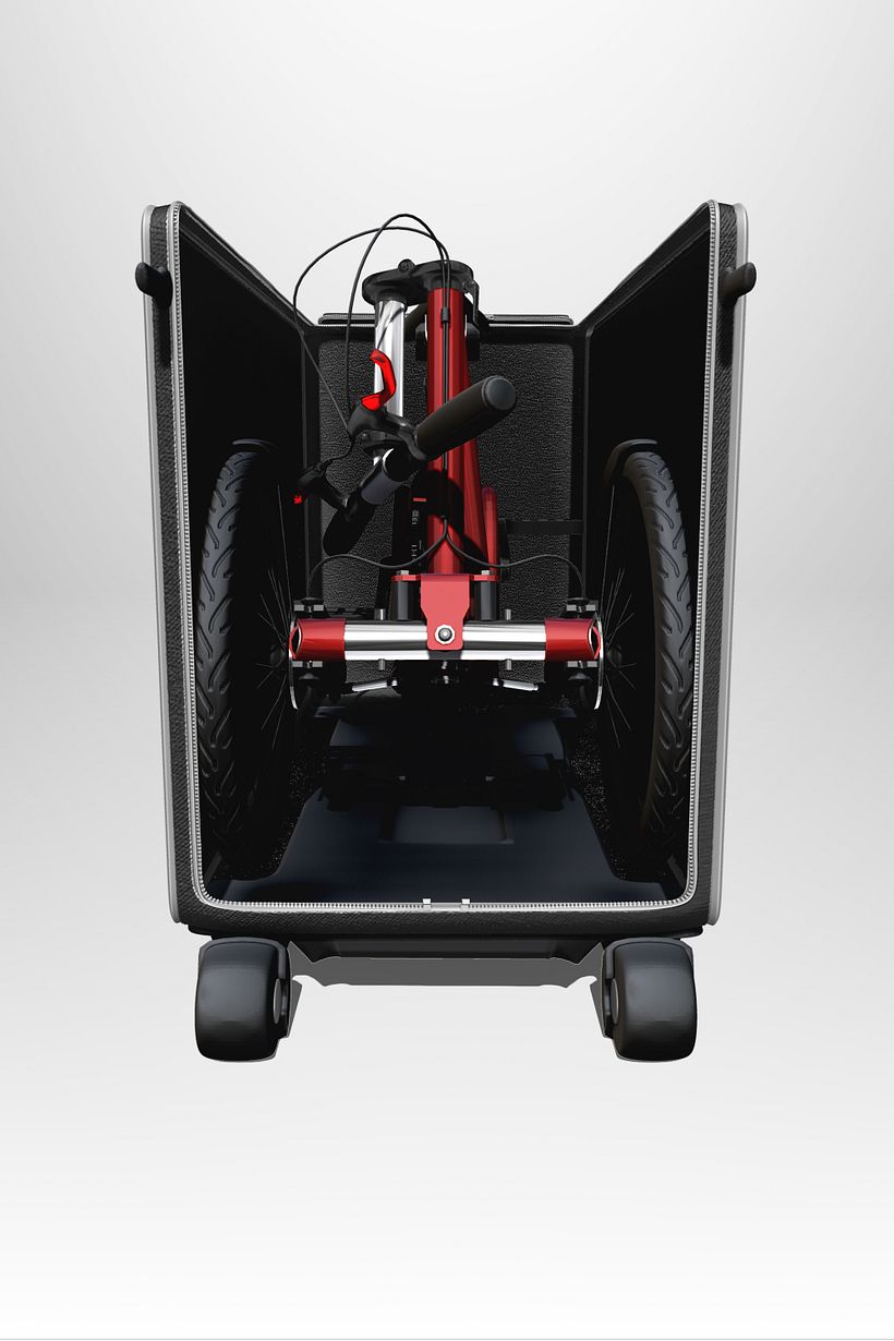 Tribike multitalla  6