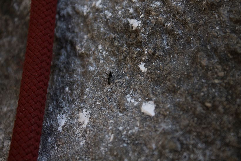 L'escalada efímera 6