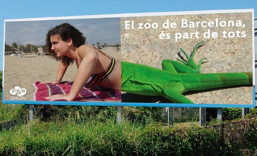 Part de tots 2