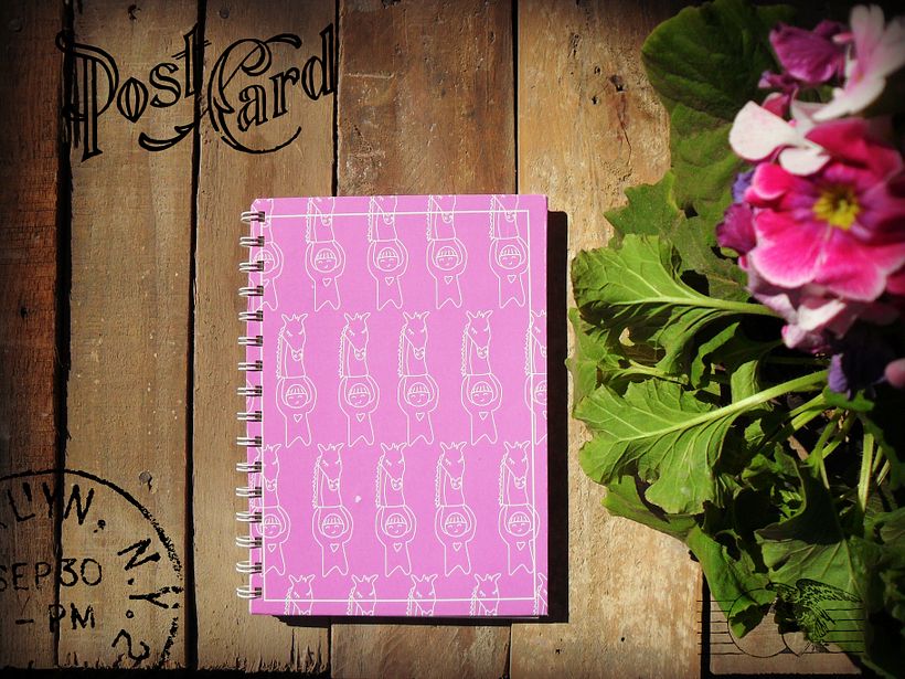Agendas/cuadernos viajeros/cuadernos dibujo 3