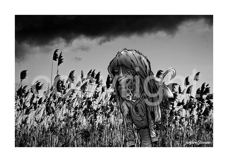 Paisajes Ilustrados Janeiro&Seoane 7