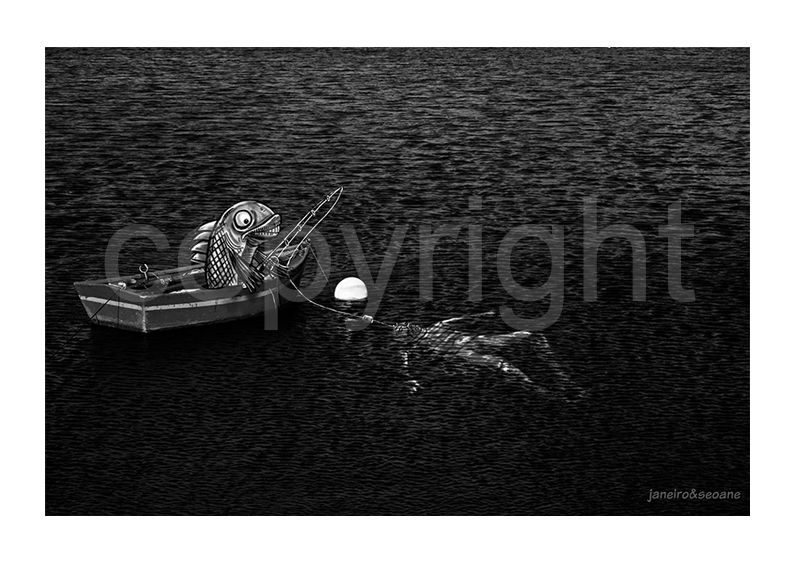 Paisajes Ilustrados Janeiro&Seoane 6