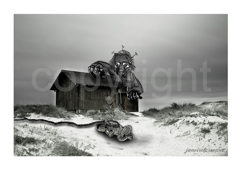 Paisajes Ilustrados Janeiro&Seoane 4