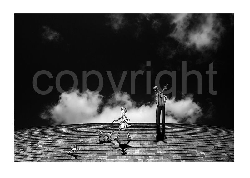 Paisajes Ilustrados Janeiro&Seoane 2