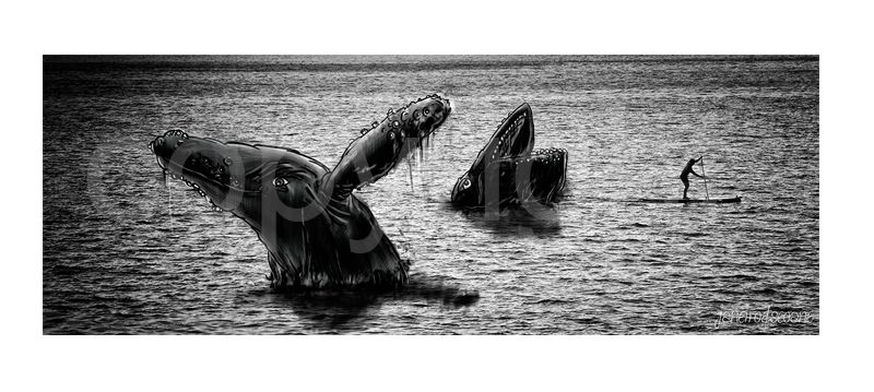 Paisajes Ilustrados Janeiro&Seoane 1