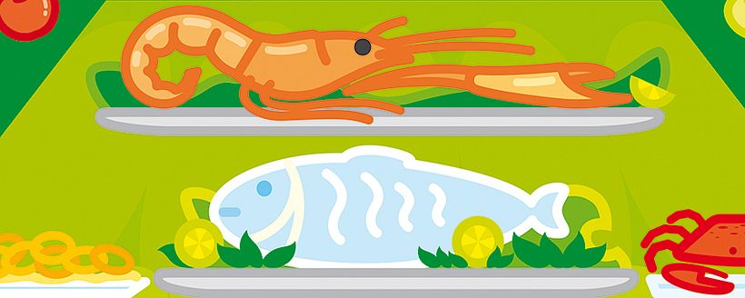 Ilustración vectorial - Pirámide alimenticia 6