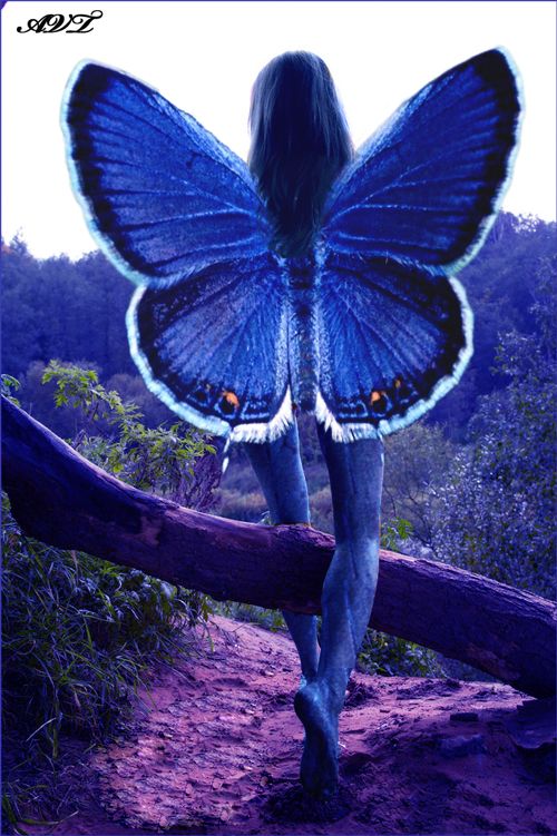 Retoque de fotografias 6