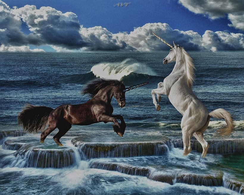 Retoque de fotografias 1