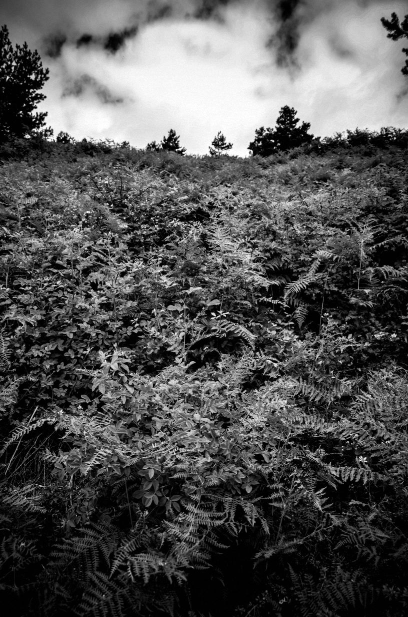 Gigantes de Madrid 13