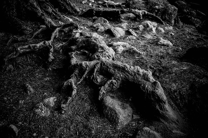 Gigantes de Madrid 11