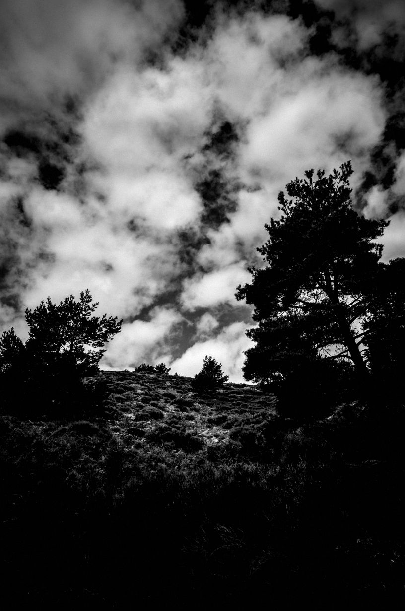 Gigantes de Madrid 10