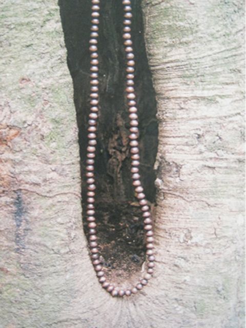 Collares 4