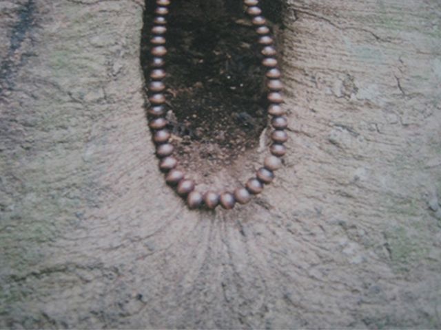 Collares 3