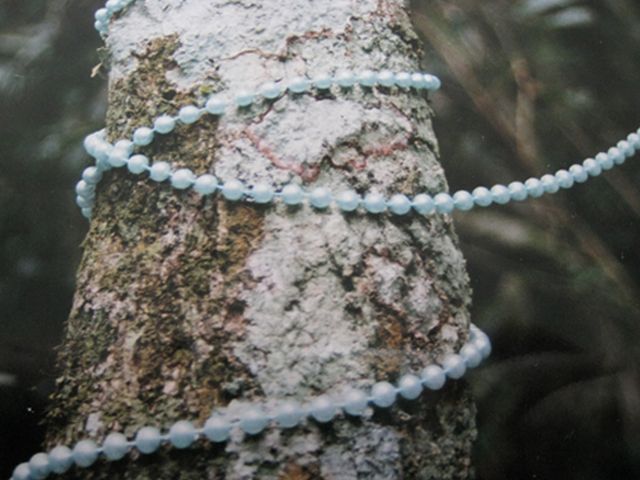 Collares 2