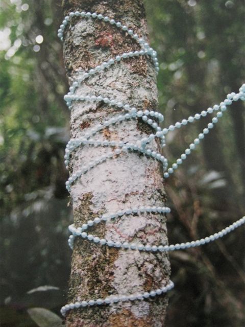 Collares 1