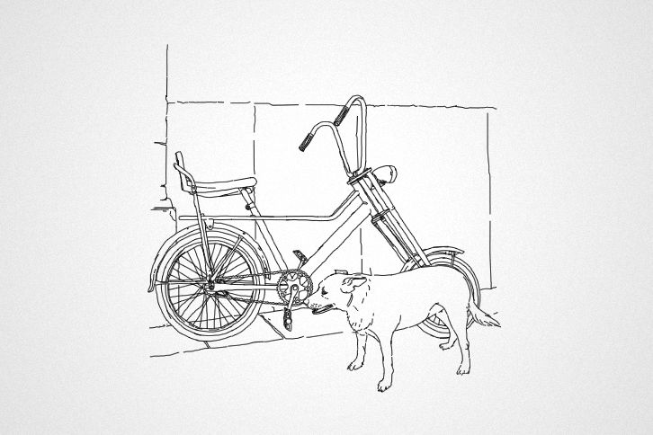 Bicis callejeras 2