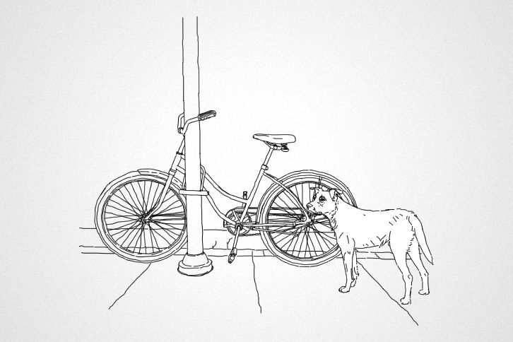 Bicis callejeras 1