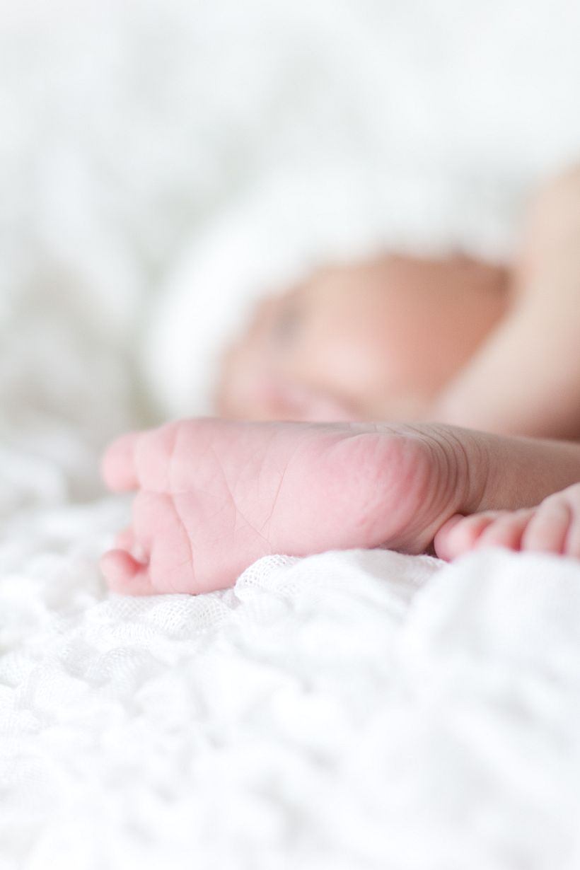 Bebés, Estudi Cucut 6