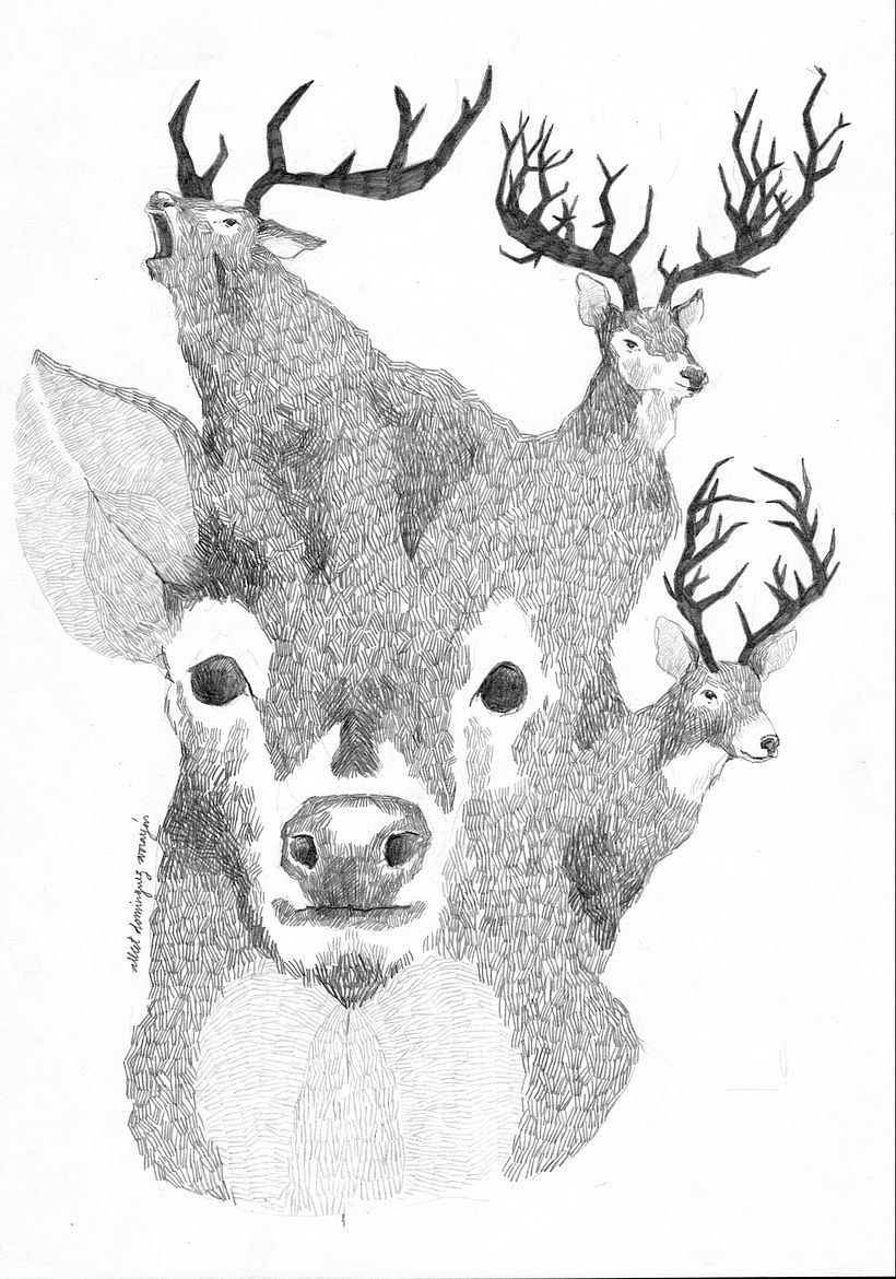 Bears & Deers 3