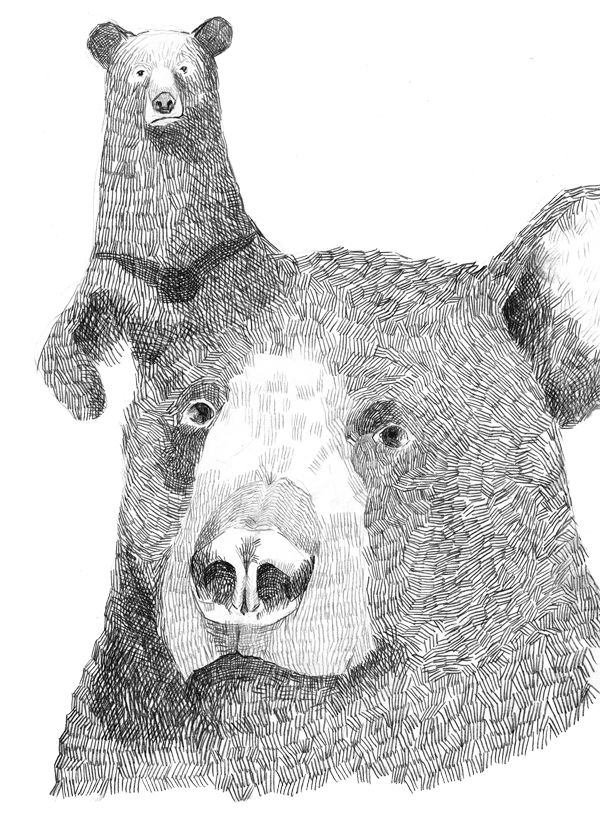 Bears & Deers 2