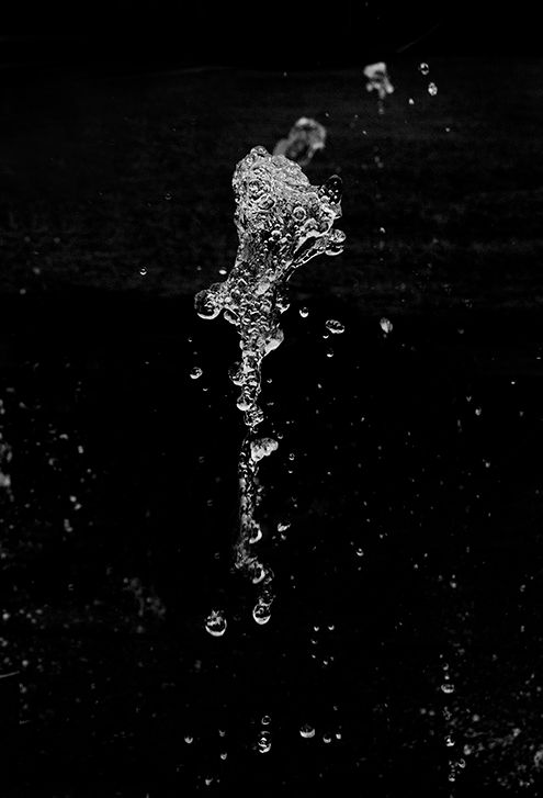 Water shots 5